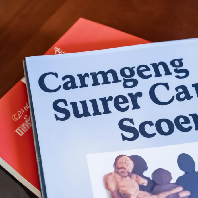 Supporting Caregivers: Resources and Strategies for Family Members